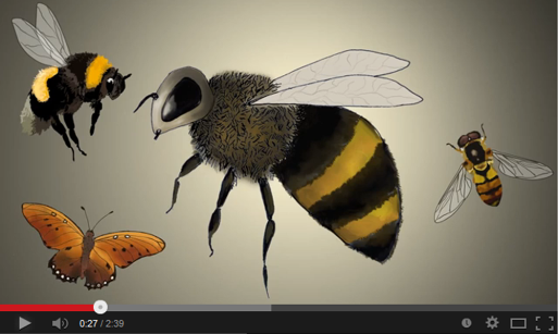 thumbnail - Pollinators go silent !